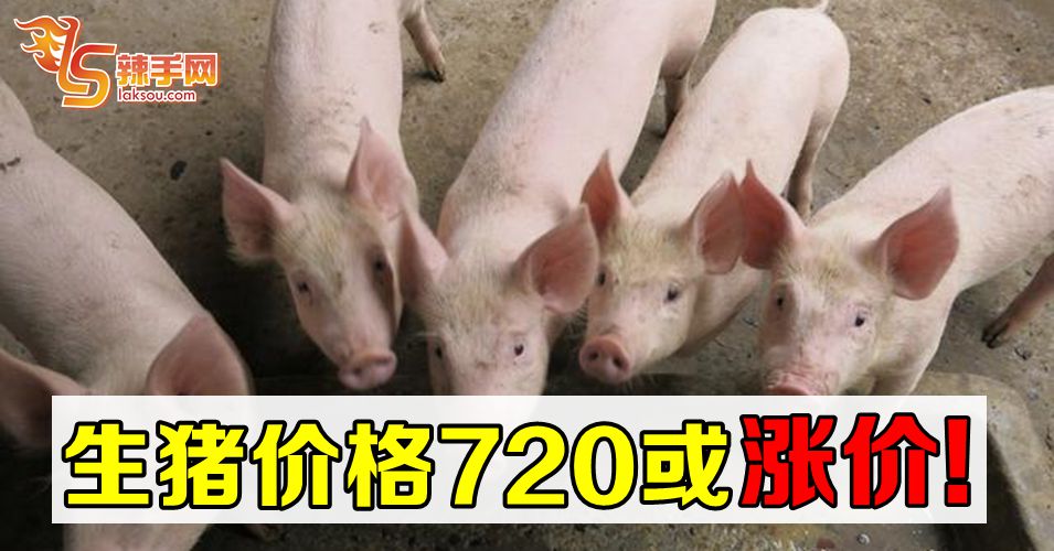 生猪价格7月20日或涨价