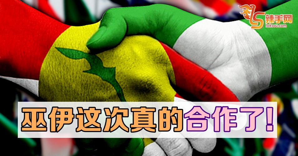 巫伊真的合作了