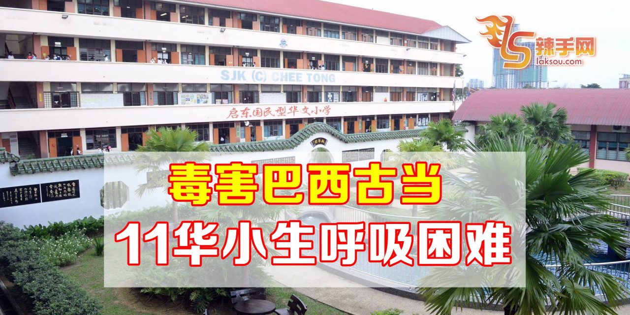 毒害巴西古当  11华小生呼吸困难