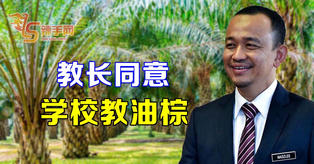 教长同意 学校教油棕