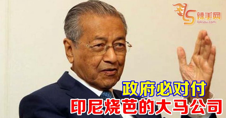 政府必对付印尼烧芭的大马公司