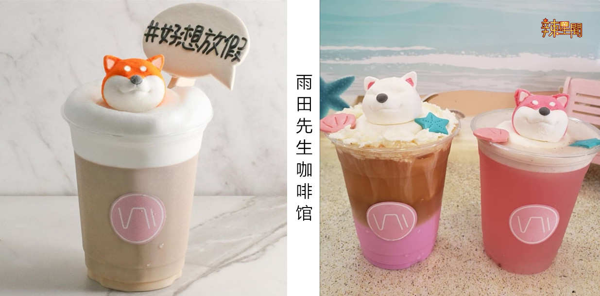 巧可爱！柴犬在咖啡里游泳，简直是萌萌哒！