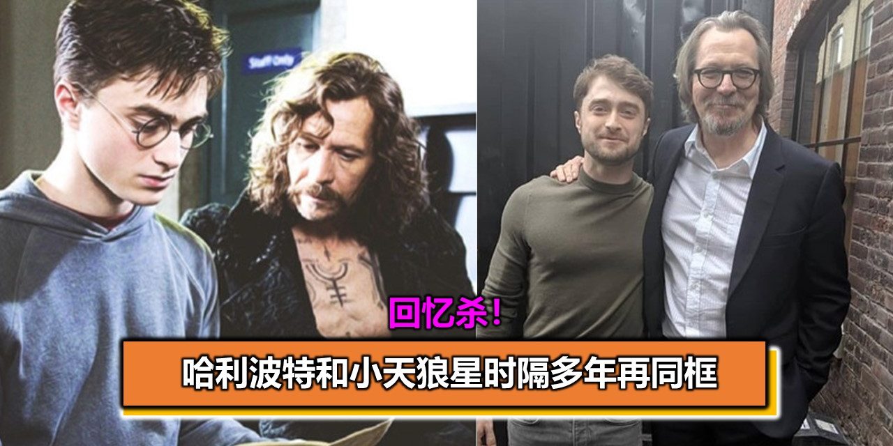 回忆杀！哈利波特和小天狼星时隔多年再同框
