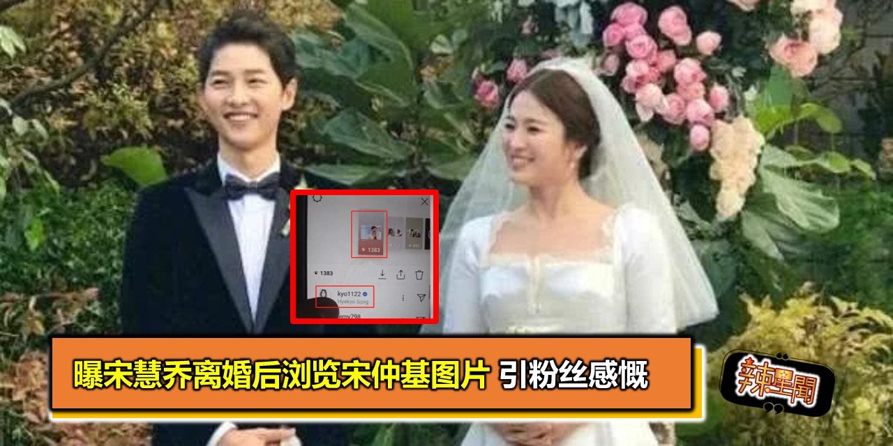 曝宋慧乔离婚后浏览宋仲基图片 引粉丝感慨