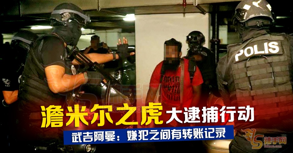 “淡米尔之虎”嫌犯之间有转账记录