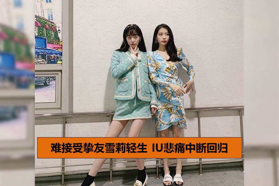 难接受挚友雪莉轻生 IU悲痛中断回归