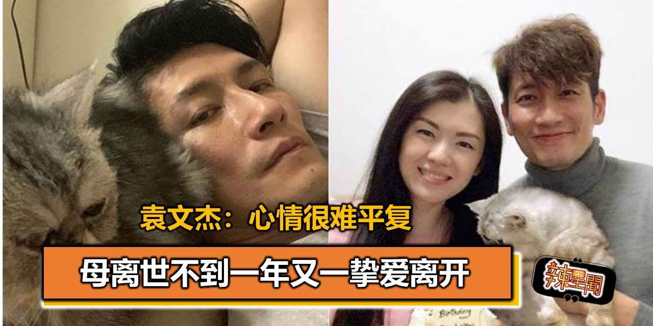 母离世不到一年又一挚爱离开 袁文杰：心情很难平复