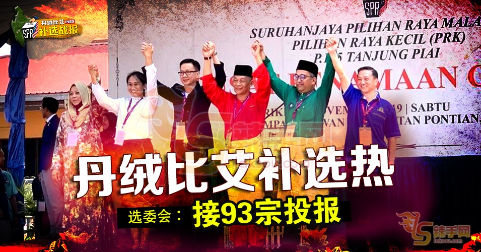 丹绒比艾：选委会接93宗投报