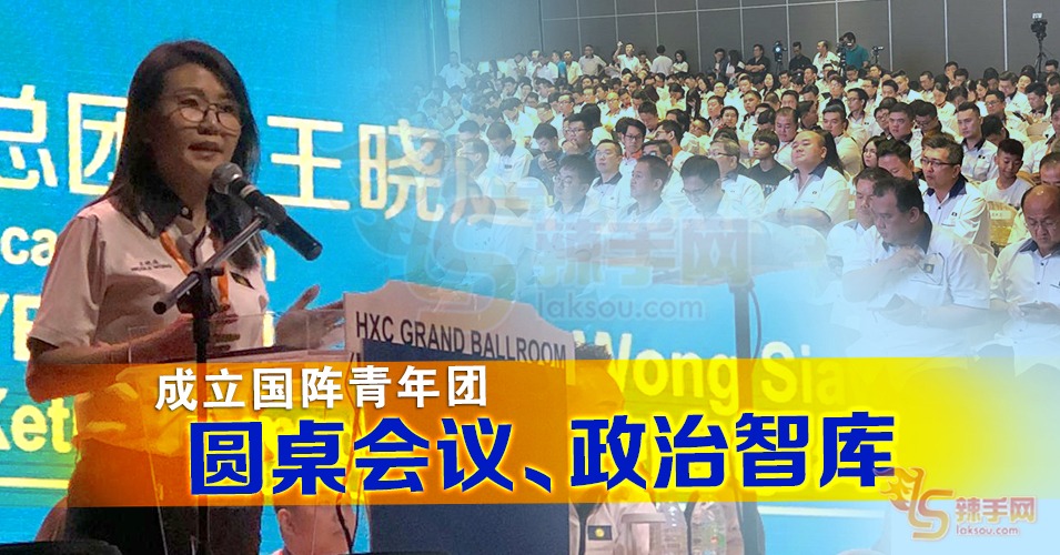 成立国阵青年团智库、圆桌会议