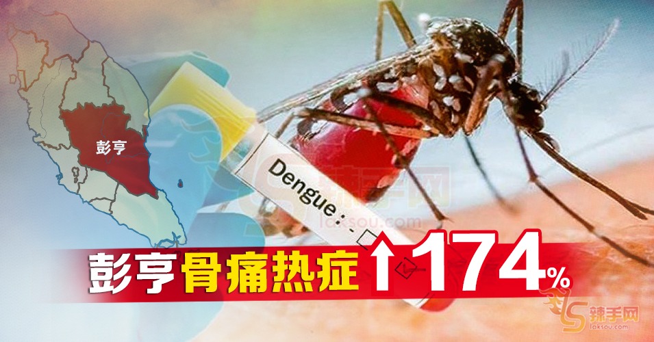 H1N1未消停，彭再爆骨痛热症