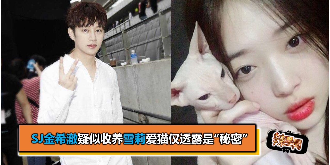 SJ金希澈疑似收养雪莉爱猫仅透露是“秘密”