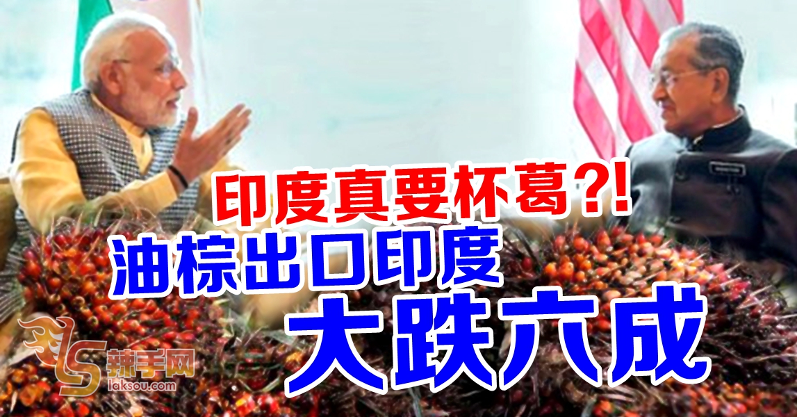 油棕出口印度  大跌六成
