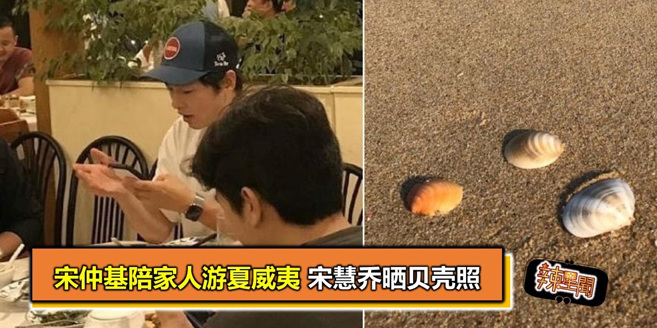 宋仲基陪家人游夏威夷 宋慧乔晒贝壳照