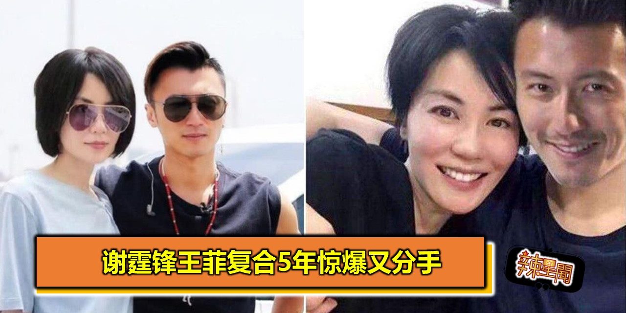 谢霆锋菲王复合5年惊爆又分手