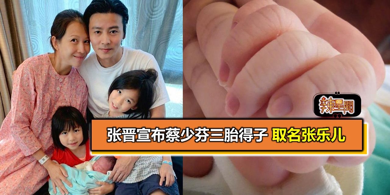张晋宣布蔡少芬三胎得子 取名张乐儿