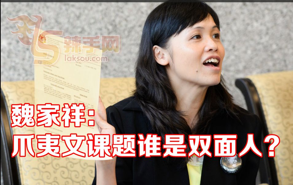 魏家祥：谁在做双面人？