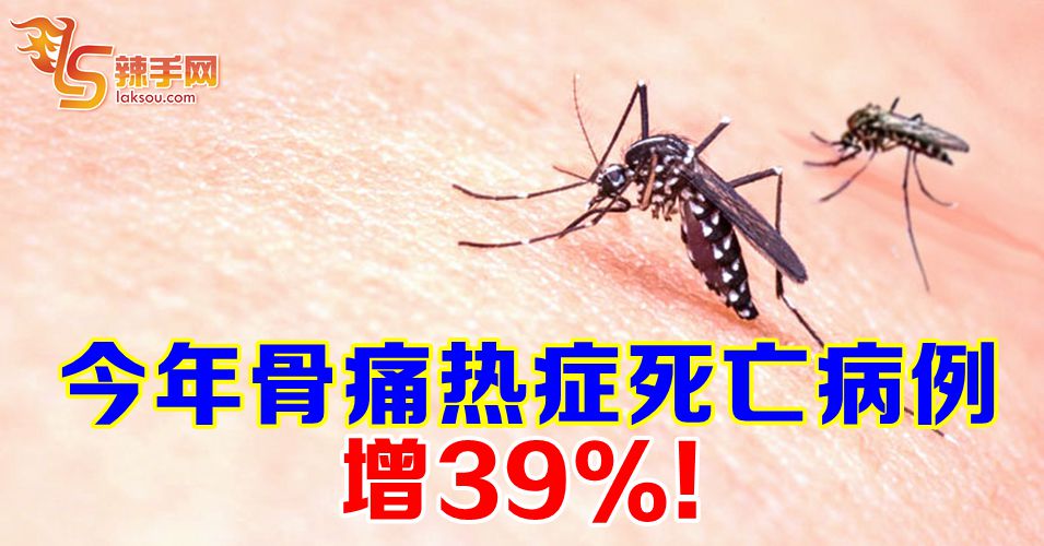 今年骨痛热症死亡病例增39%