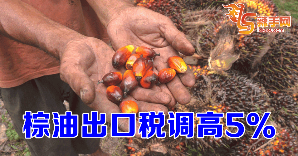 棕油出口税调高5%