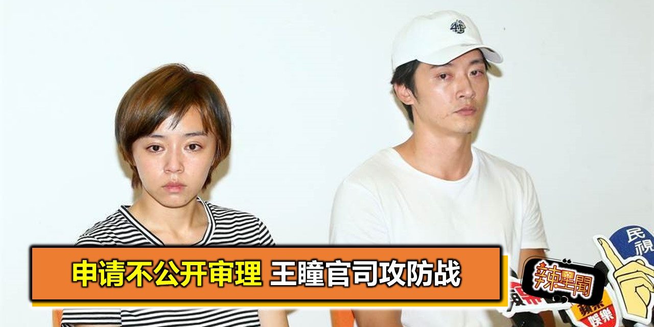 申请不公开审理 王瞳官司攻防战