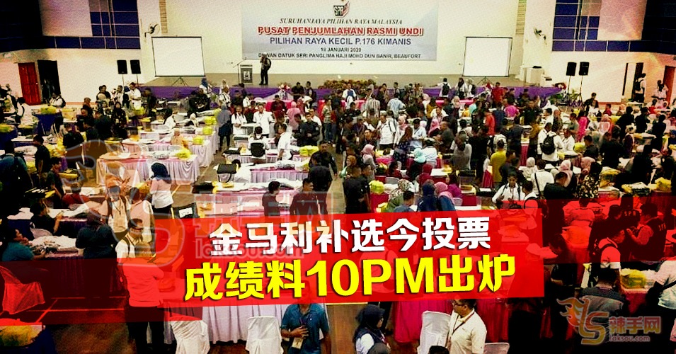 金马利补选选民投票热烈