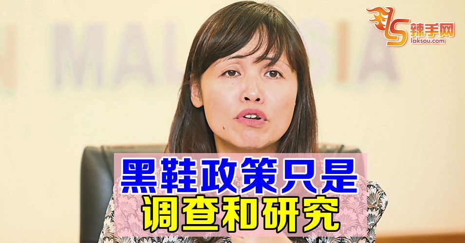 张念群：黑鞋政策只是调查和研究