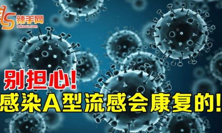 什么是流感病毒a型 influnza-A_%E5%89%AF%E6%9C%AC-440x264.jpg