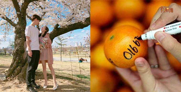 元宵节热门抛柑地点！单身男女们准备好出击了吗？