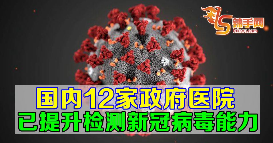 国内12家政府医院实验室   已提升检测新冠病毒能力