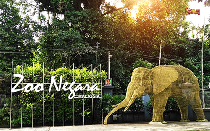 动物园要免费送你入门票