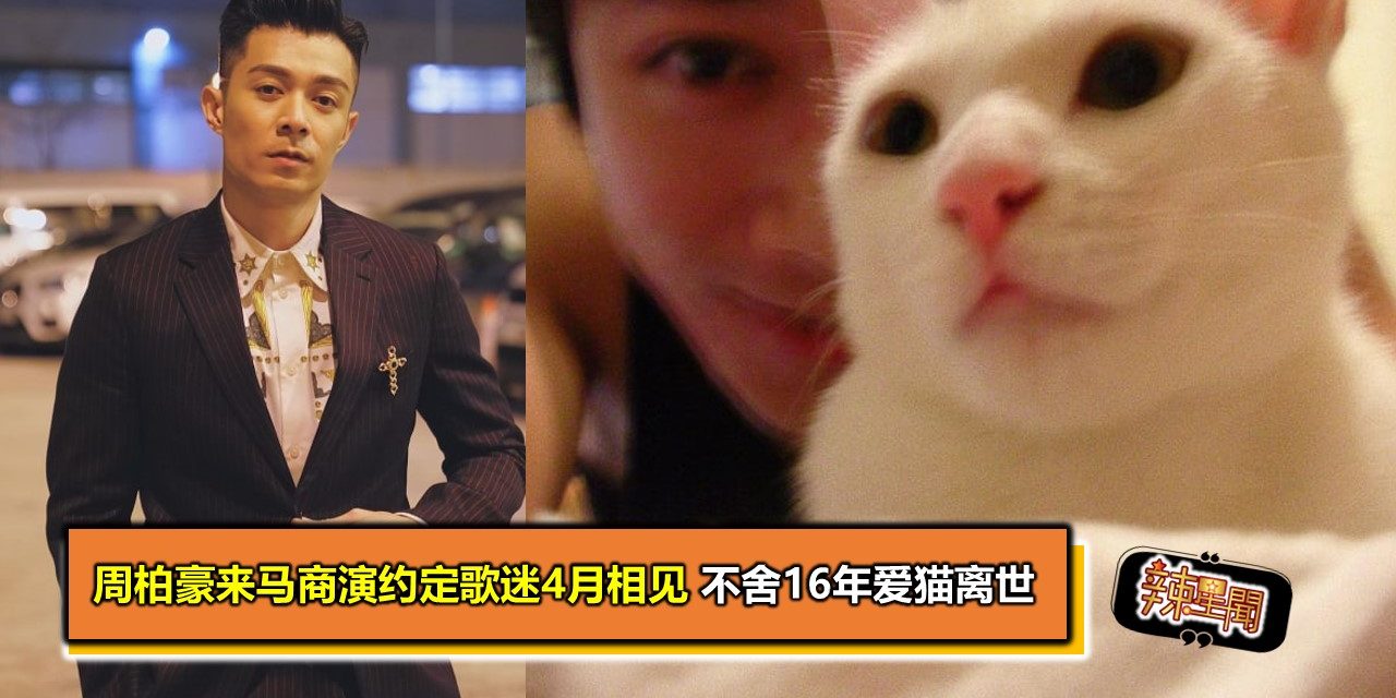 周柏豪来马商演约定歌迷4月相见 不舍16年爱猫离世