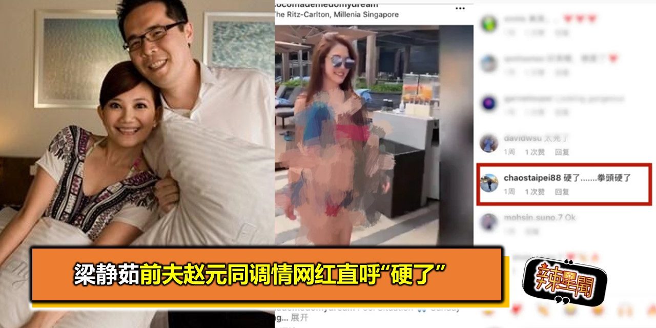 梁静茹前夫赵元同在网络调情网红直呼“硬了”