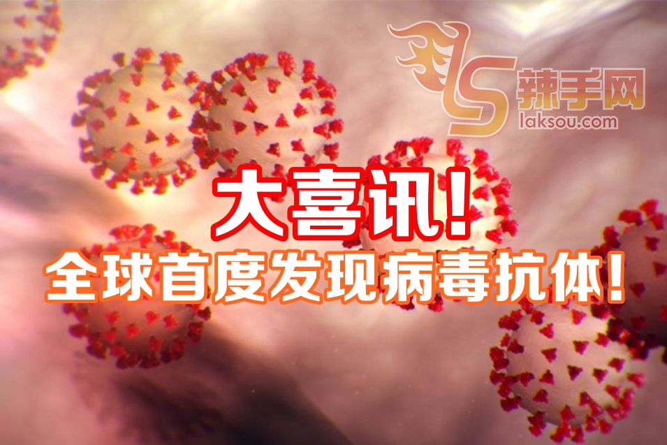 全球首度发现病毒抗体！