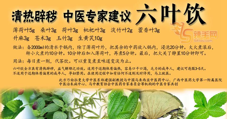 清热辟秽 中医专家建议“六叶饮”