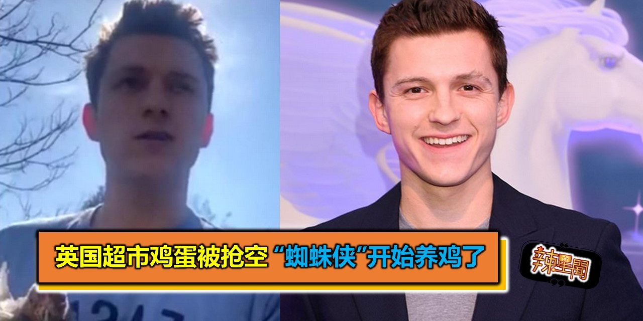 英国超市鸡蛋被抢空 “蜘蛛侠”开始养鸡了