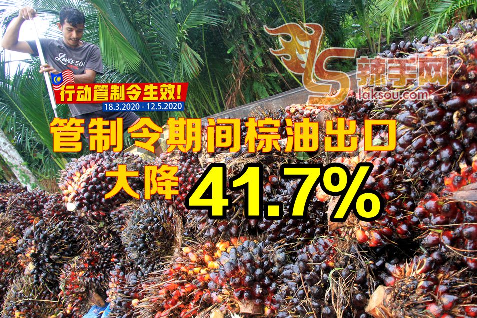 MCO期間棕油出口大降