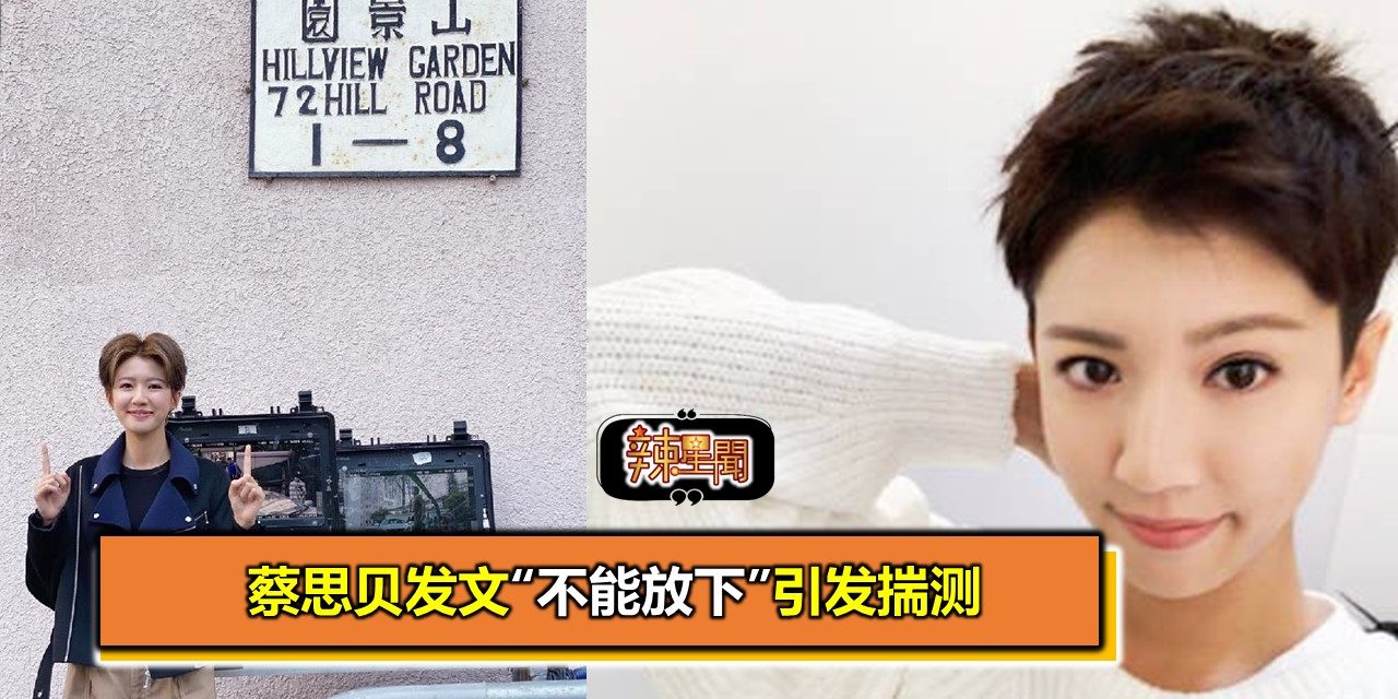 蔡思贝发文“不能放下”引发揣测