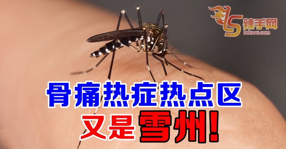骨痛热症热点区又是雪州