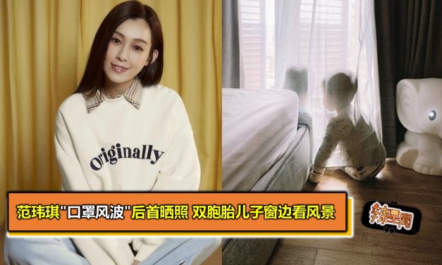 范玮琪”口罩风波”后首晒照 双胞胎儿子窗边看风景