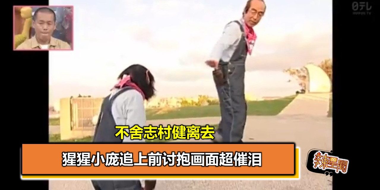 不舍志村健离去 猩猩小庞追上前讨抱画面超催泪