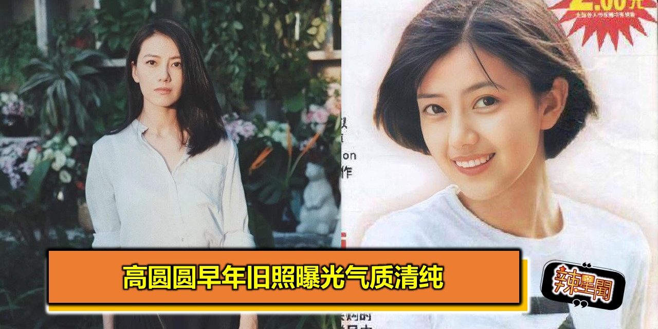 高圆圆早年旧照曝光气质清纯