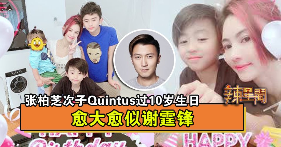 张柏芝次子Quintus过10岁生日 愈大愈似谢霆锋