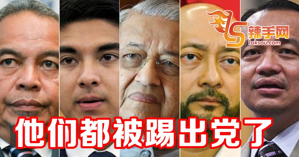 敦马+4国会议员被党开除