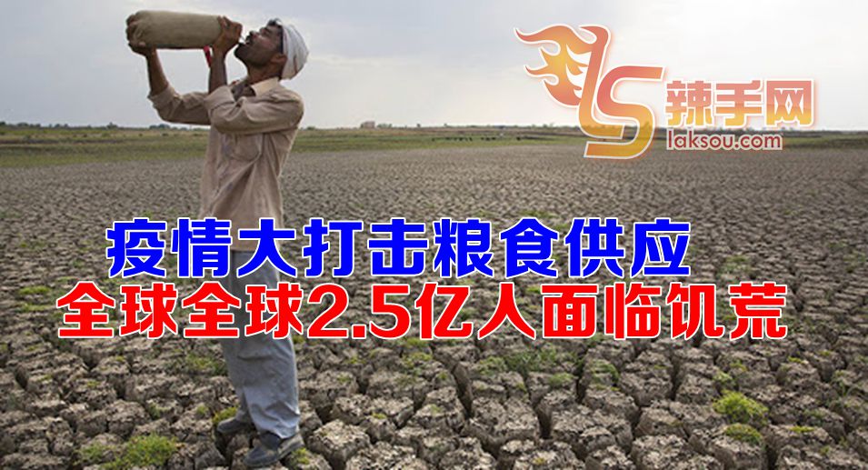 全球2.5亿人面临饥荒！