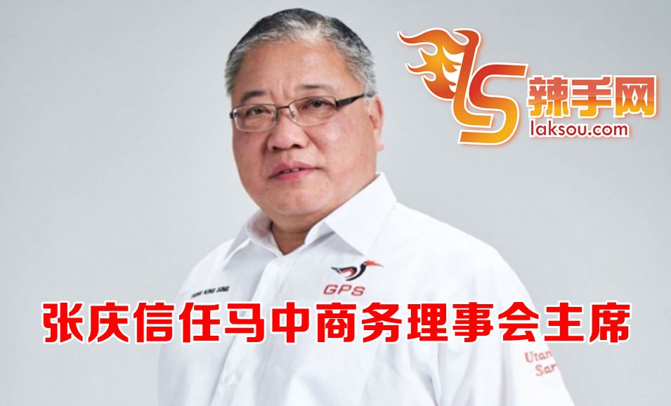 张庆信任马中商务理事会主席