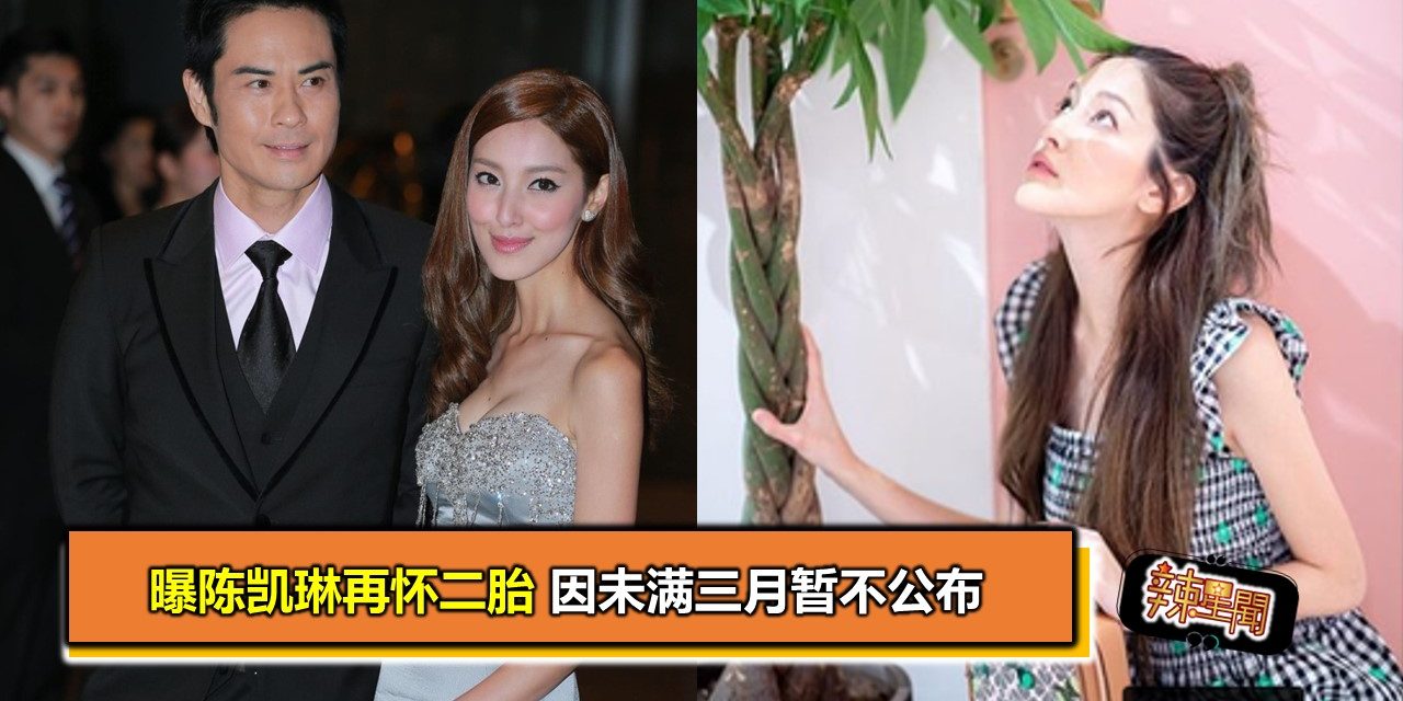 曝陈凯琳再怀二胎 因未满三月暂不公布