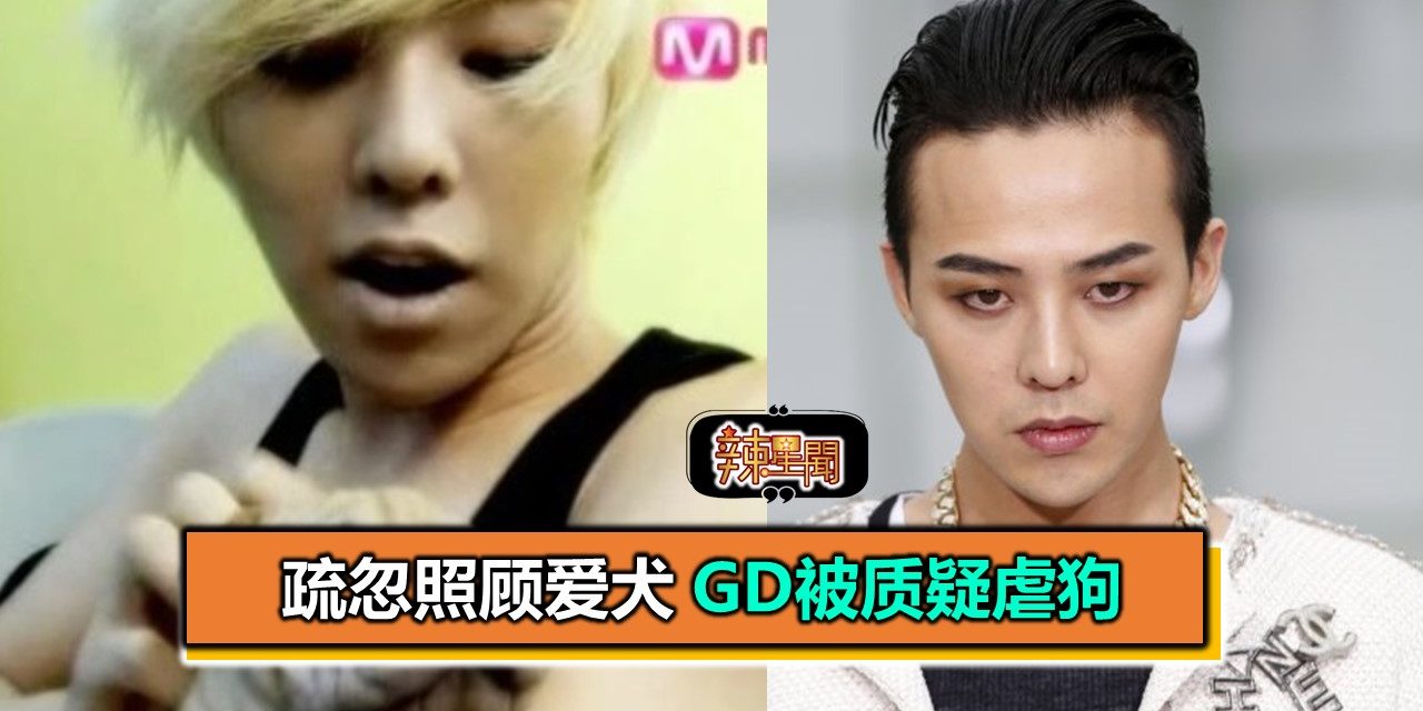 疏忽照顾爱犬 GD被质疑虐狗