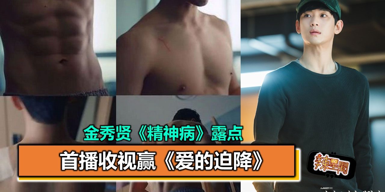 金秀贤《精神病》露点 首播收视赢《爱的迫降》