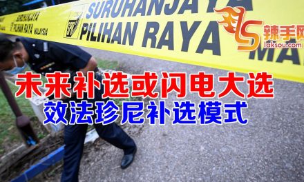 若有闪电大选将效法珍尼补选模式