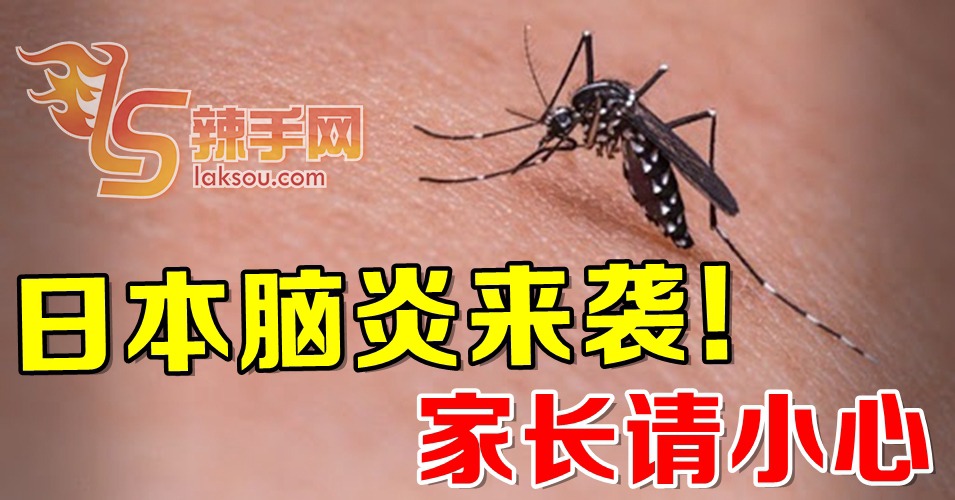 我国已累计6宗日本脑炎！