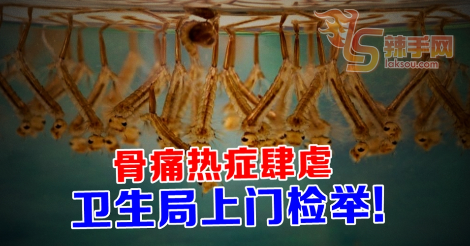 家中有孑孓 开罚500